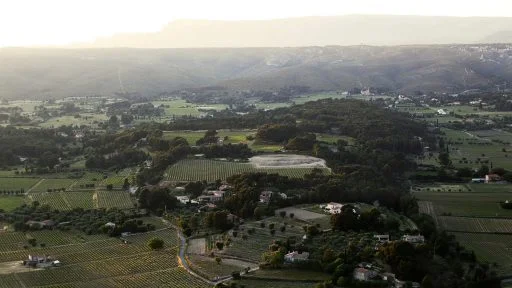 Simpsons Wine Estate in the United Kingdom.