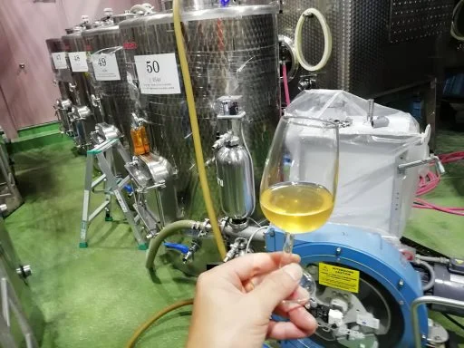 bellwood vineyard 2020 08 24 (1)