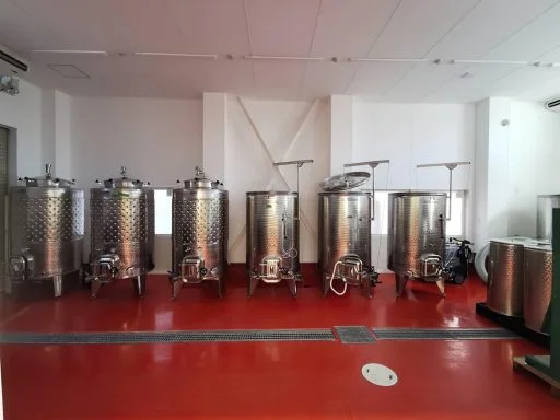 bellwood vineyard 2020 08 24 (2)