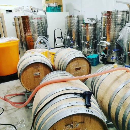 bellwood vineyard 2021 09 01 (1)