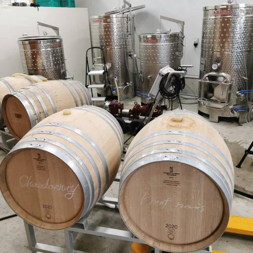 bellwood vineyard 2021 09 01 (2)