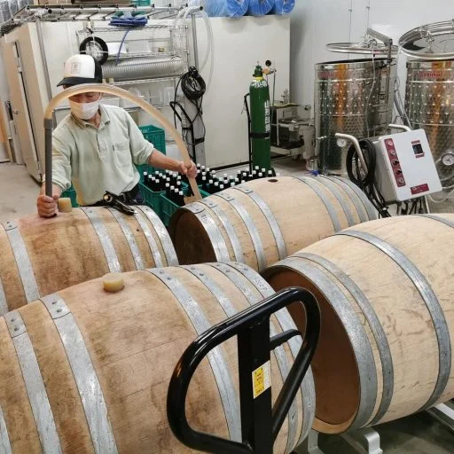 bellwood vineyard 2021 09 01 (3)