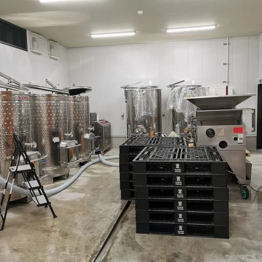 bellwood vineyard 2021 09 01 (4)