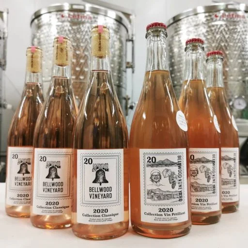 bellwood vineyard 2021 09 01 (7)