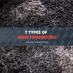 7 Types of Wine Fermenters (and Their Characteristics)