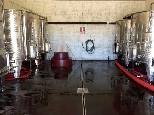 domaine gabinato fresquet 2021 09 03 (3)