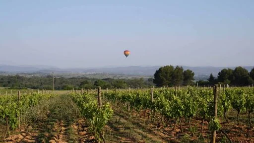 domaine monplezy cover photo 16 9