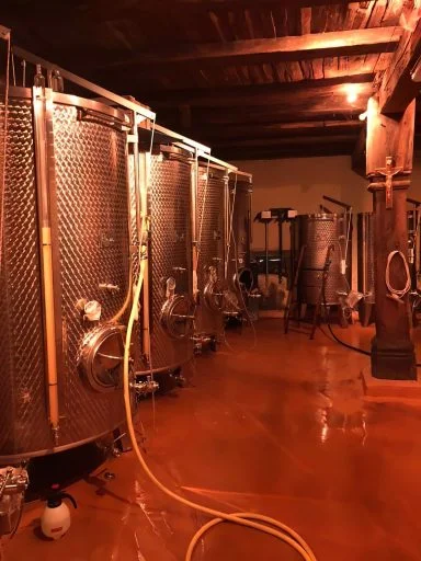 domaine paul humbrecht 2021 05 20 (3)
