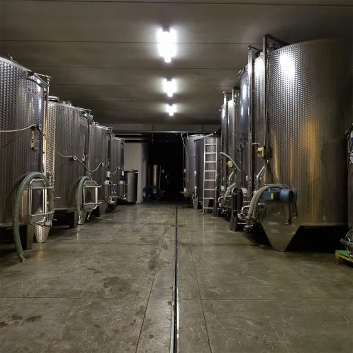 enrico crola 2021 09 01 (3)