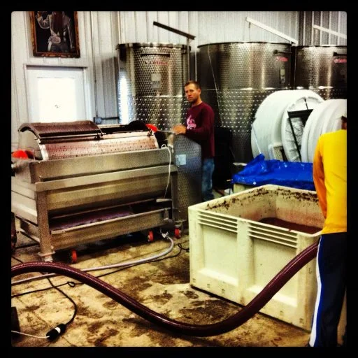 grace hill winery 2021 09 15 (11)