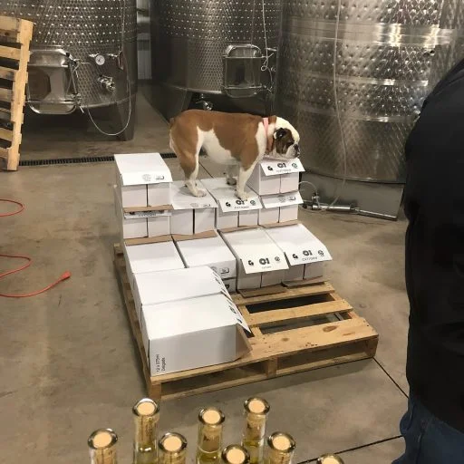grace hill winery 2021 09 15 (16)