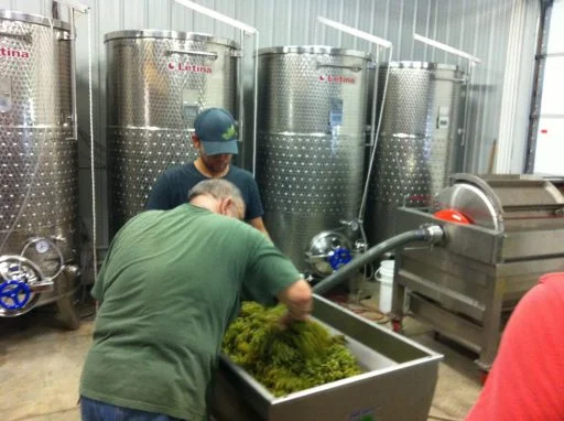 grace hill winery 2021 09 15 (6)