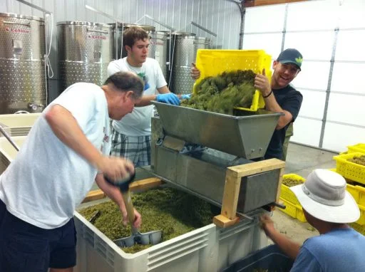 grace hill winery 2021 09 15 (8)