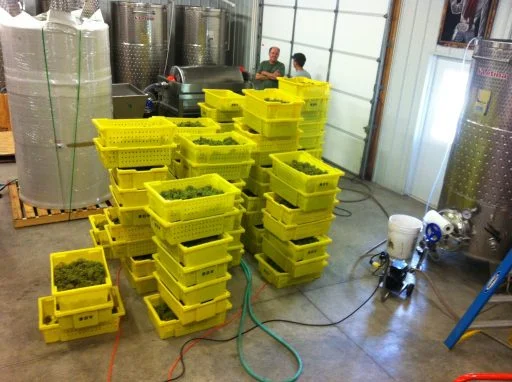 grace hill winery 2021 09 15 (9)