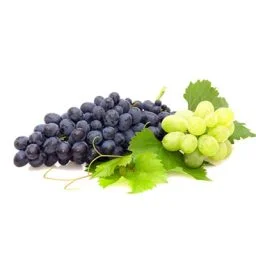 Red and white wine grapes.