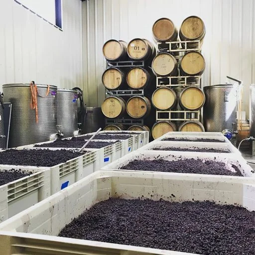 inwood estates winery 2022 04 14 (1)