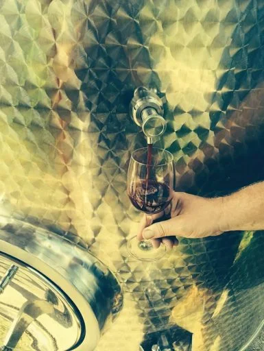 kislaki winery 2022 03 15 (3)