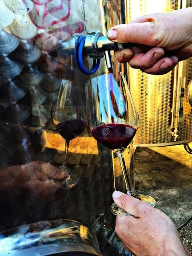 kislaki winery 2022 03 15 (5)