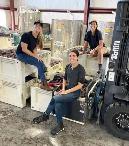 landmass wines 2022 09 19 (5)