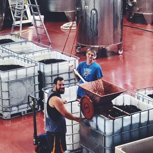 Winemakers working in Liquid Art Winery in Kansas, USA.