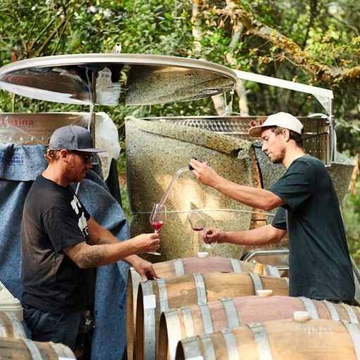madson wine 2022 01 13 (1)