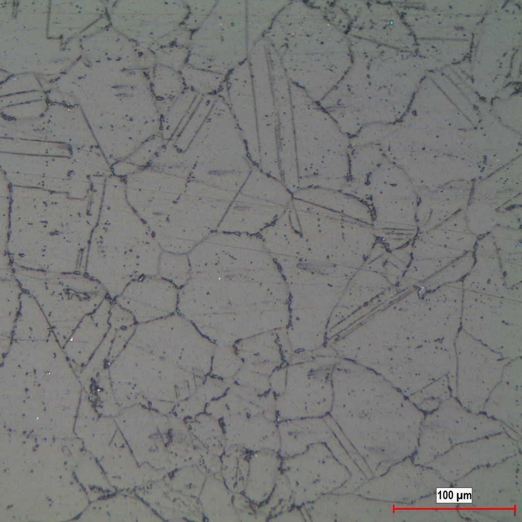 Microscopic structure of AISI 304 stainless steel.