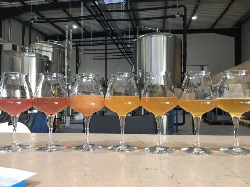 nomade brewery 2020 08 19 (1)