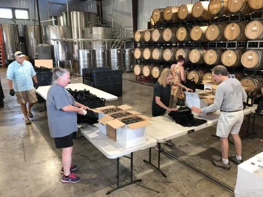 perissos vineyards 2021 09 30 (10)