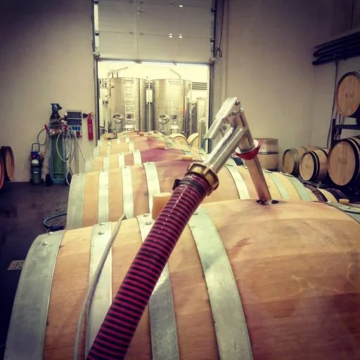 vignobles chirat 2021 09 02 (1)