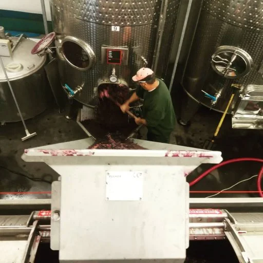 vignobles chirat 2021 09 02 (3)