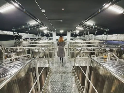 vinarija feravino 2021 09 09 (2)