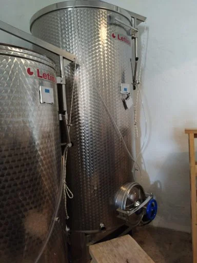 vinedo dos buhos 2022 04 14 (1)