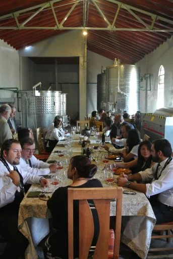 vinedo dos buhos 2022 04 14 (5)