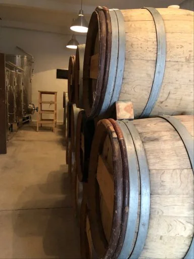 vinedo dos buhos 2022 04 14 (6)
