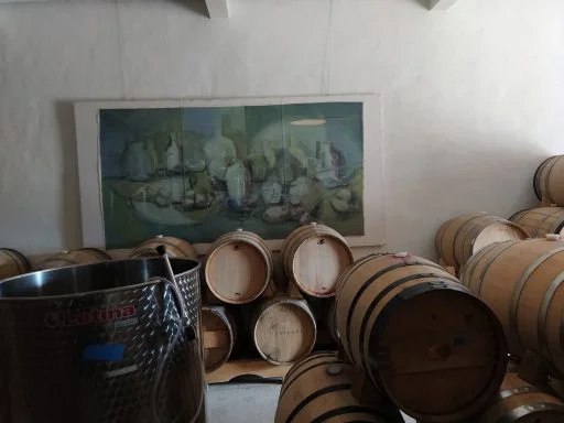 vinedo dos buhos 2022 04 14 (7)