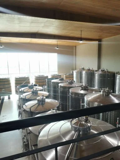 vinicola tres raices 2021 08 26 (1)