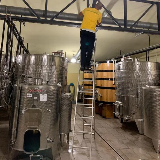 vinogradi volarevic 2021 09 14 (1)