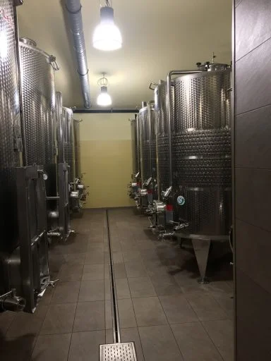 vinogradi volarevic 2021 09 14 (2)