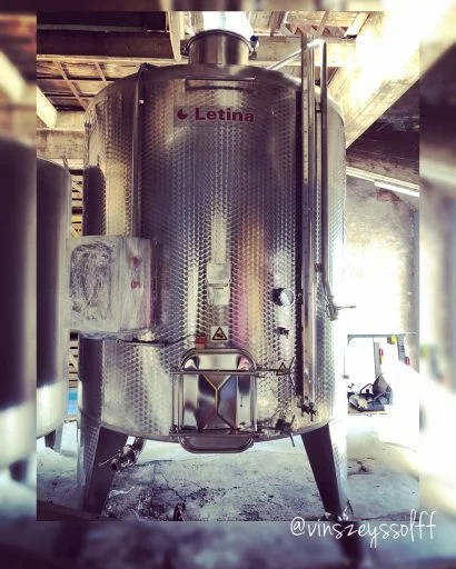 vins alsace zeyssolff 2020 08 24 (1)