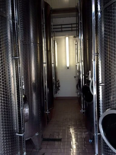 weingut baldauf 2021 09 06 (1)