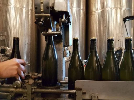 weingut braunewell 2021 03 26 (2)