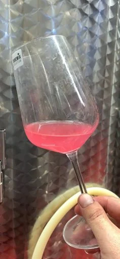 weingut dr lindicke 2022 03 24 (6)