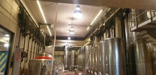 weingut georgiberg 2019 12 03 (1)