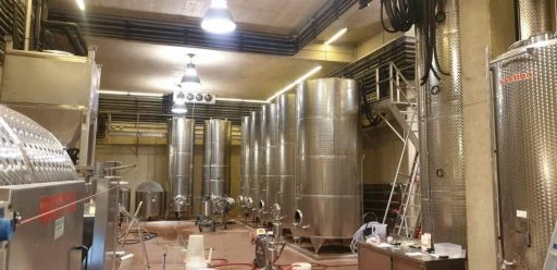 weingut georgiberg 2019 12 03 (2)