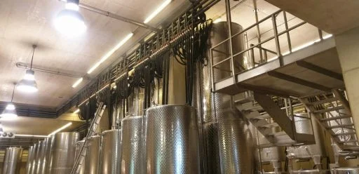 weingut georgiberg 2021 09 01
