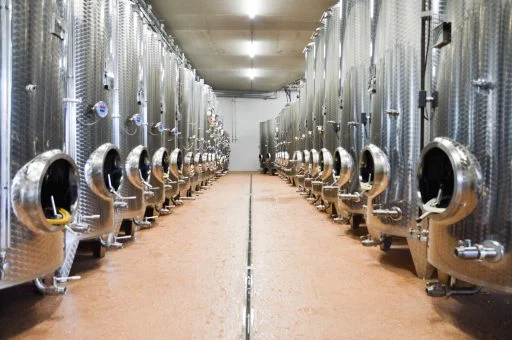 weingut hiden 2020 08 24 (2)