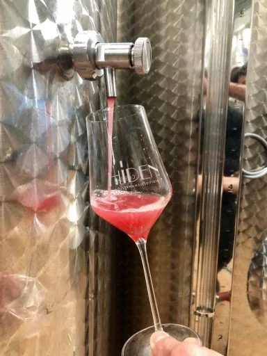 weingut hiden 2020 08 24 (3)
