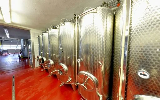 weingut joebstl hannes luise 2021 09 03 (2)