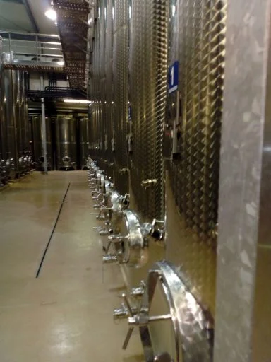 weingut krispel 2021 08 31 (10)