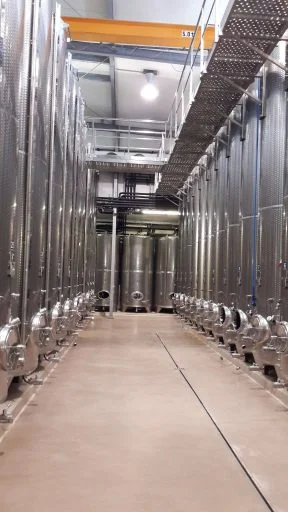 weingut krispel 2021 08 31 (6)
